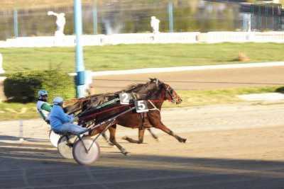 Taranto, un giorno all'ippodromo: tra corse, scommesse, cavalli e drivers